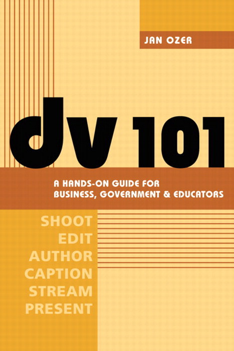 DV 101: A Hands-On Guide for Business, Government and Educators